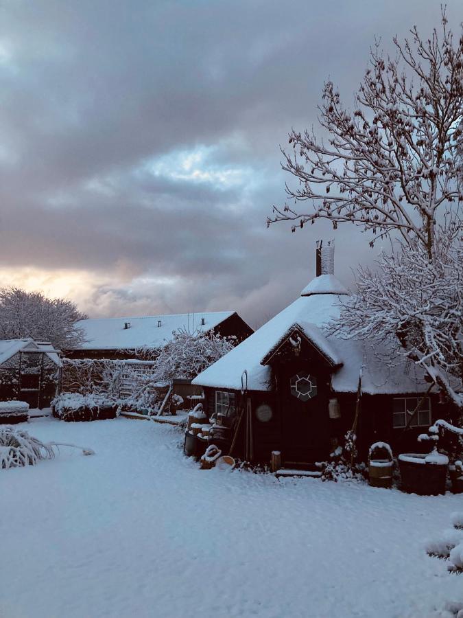 Det Blagronne Hus Apartamento Hals Exterior foto